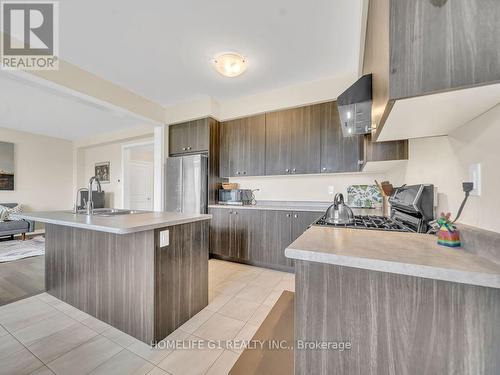 19 Cahill Drive, Brantford, ON - Indoor Photo Showing Kitchen