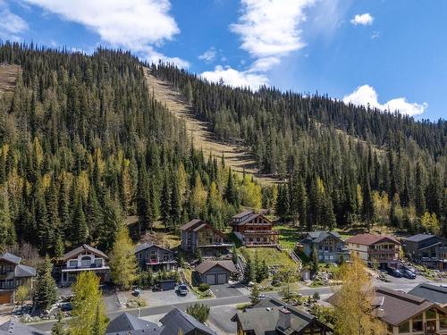 2417 Fairways Drive, Sun Peaks, BC - Outdoor With View