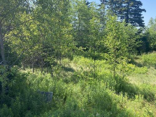 Lot 8 Spruce Meadow Dr., Mill Creek, NS 