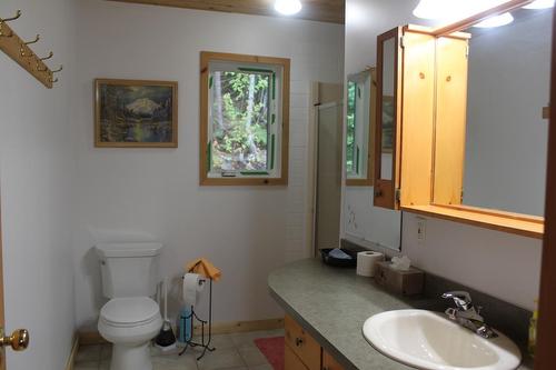 1794 Highway 6, Nakusp, BC - Indoor Photo Showing Bathroom