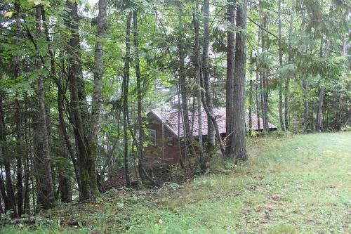 1794 Highway 6, Nakusp, BC - Outdoor With View