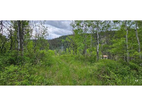 12831 Highway 3, Greenwood, BC 