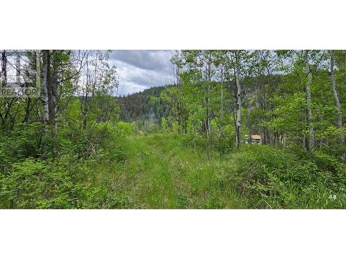 12831 3 Highway, Greenwood, BC 