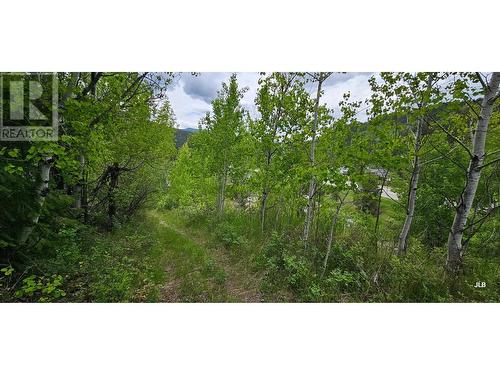 12831 3 Highway, Greenwood, BC 