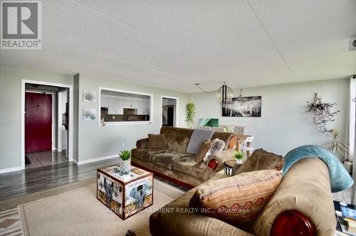 704 - 99 Donn Avenue, Hamilton, ON - Indoor Photo Showing Living Room