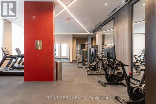 1205 - 212 King William Street, Hamilton, ON - Indoor Photo Showing Gym Room