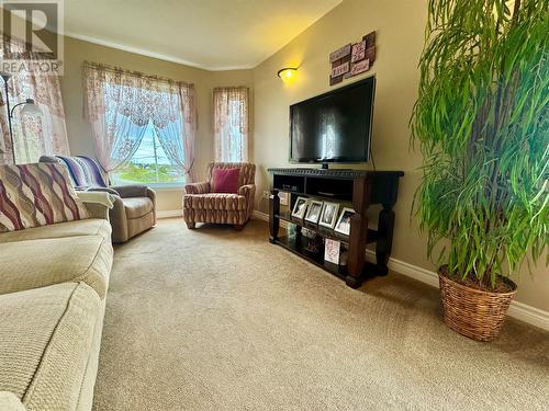 82 Harbourview Drive, Comfort Cove, NL - Indoor Photo Showing Living Room