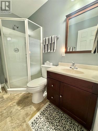 82 Harbourview Drive, Comfort Cove, NL - Indoor Photo Showing Bathroom