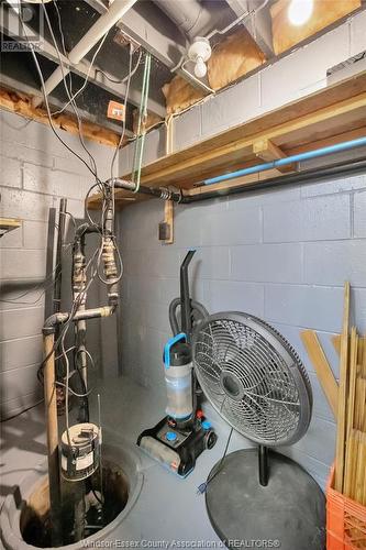 2720 Bouffard, Lasalle, ON - Indoor Photo Showing Basement