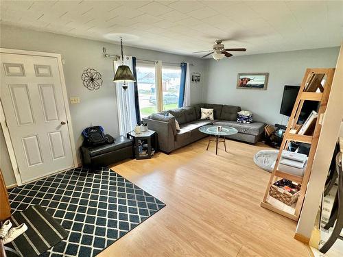 262 Princess Street E, Virden, MB - Indoor Photo Showing Living Room