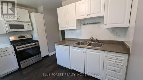 40 Magee Street, London, ON - Indoor Photo Showing Kitchen With Double Sink