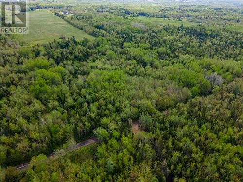 Lot 21-06 Haut Saint-Antoine Road, Saint-Antoine, NB 