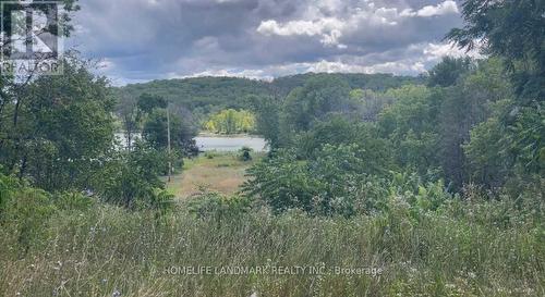 1355 County Rd 45, Asphodel-Norwood (Norwood), ON - Outdoor With View