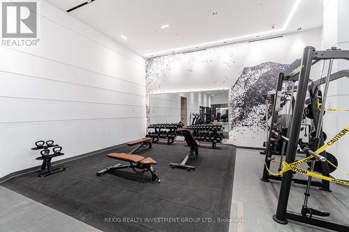 301 - 50 George Butchart Drive, Toronto, ON - Indoor Photo Showing Gym Room