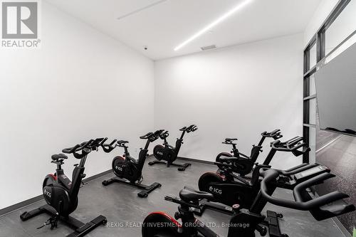 301 - 50 George Butchart Drive, Toronto (Downsview-Roding-Cfb), ON - Indoor Photo Showing Gym Room