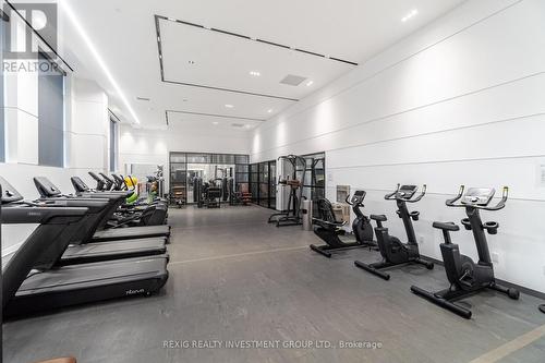 301 - 50 George Butchart Drive, Toronto, ON - Indoor Photo Showing Gym Room