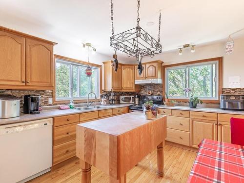 Logement - 131 Rue Des Blés-D'Or, Saint-Jean-Sur-Richelieu, QC - Indoor Photo Showing Kitchen With Double Sink