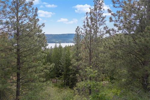 10745 Westshore Road, Vernon, BC - Outdoor With View