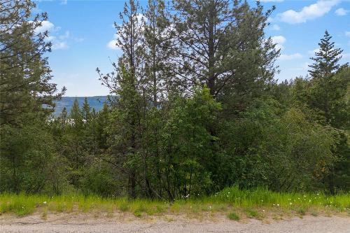 10745 Westshore Road, Vernon, BC - Outdoor With View