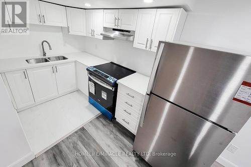 Bsmt - 18 Puritan Court, Hamilton, ON - Indoor Photo Showing Kitchen With Double Sink