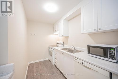 Lower - 53 Bush Crescent, Wasaga Beach, ON - Indoor Photo Showing Kitchen With Double Sink