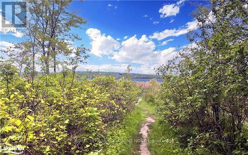 87 Little Lake Drive, Barrie (Little Lake), ON - Outdoor With View