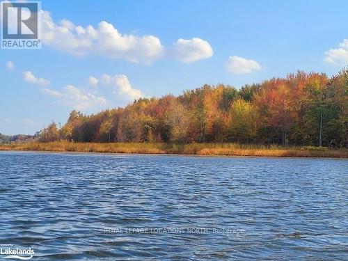 87 Little Lake Drive, Barrie (Little Lake), ON - Outdoor With Body Of Water With View