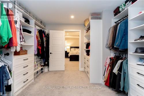 20 Valderrama Lane, St. Thomas, ON - Indoor With Storage