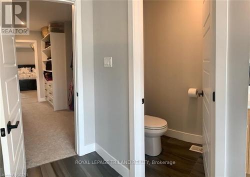 20 Valderrama Lane, St. Thomas, ON - Indoor Photo Showing Bathroom