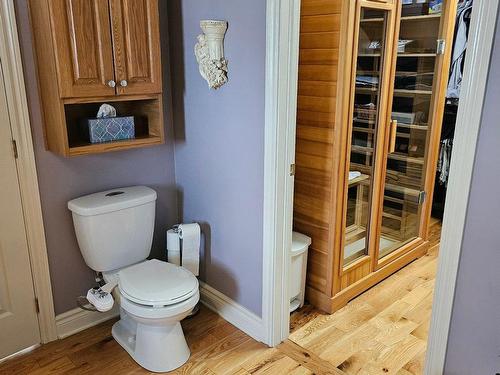 Ensuite bathroom - 115  - 119 Av. De Grand-Mère, Shawinigan, QC - Indoor Photo Showing Bathroom