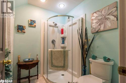 231 Mill Street, Stirling, ON - Indoor Photo Showing Bathroom