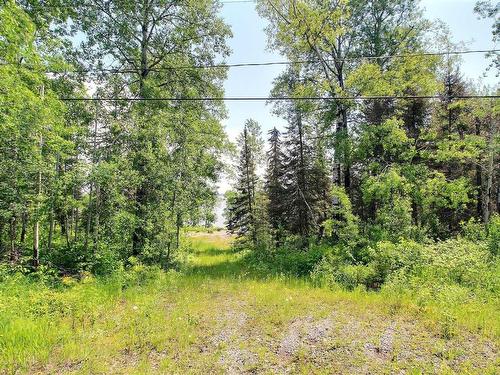 Land/Lot - 130 Rue Martin, Senneterre - Paroisse, QC 