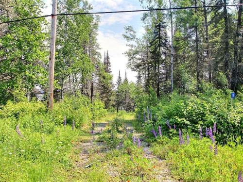 Land/Lot - 130 Rue Martin, Senneterre - Paroisse, QC 