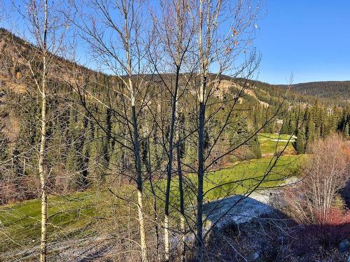 2418 Fairways Drive, Sun Peaks, BC - Outdoor With View