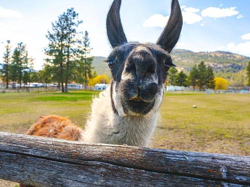 2635 Kinvig Street, Merritt, BC - Outdoor With View