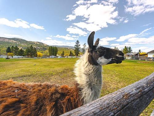 2635 Kinvig Street, Merritt, BC - Outdoor With View