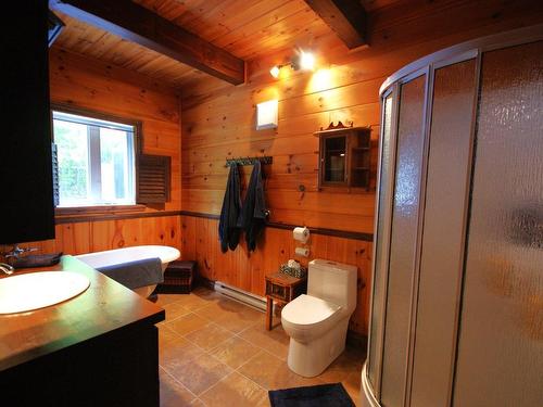 Salle de bains - 230 Rue Du Sommet, Entrelacs, QC - Indoor Photo Showing Bathroom