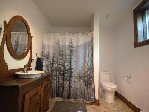 Salle de bains - 230 Rue Du Sommet, Entrelacs, QC - Indoor Photo Showing Bathroom