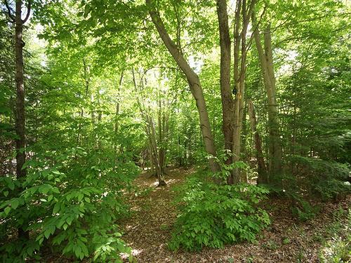 Terre/Terrain - 230 Rue Du Sommet, Entrelacs, QC - Outdoor