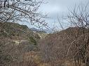 4-6 Pennys Pond Heights, Burin, NL 