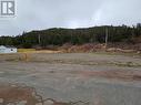 4-6 Pennys Pond Heights, Burin, NL 