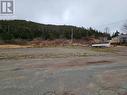 4-6 Pennys Pond Heights, Burin, NL 