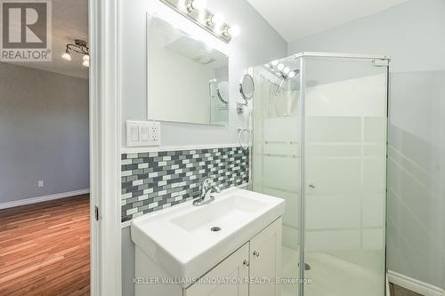 Lower - 177 Weber Street E, Kitchener, ON - Indoor Photo Showing Bathroom