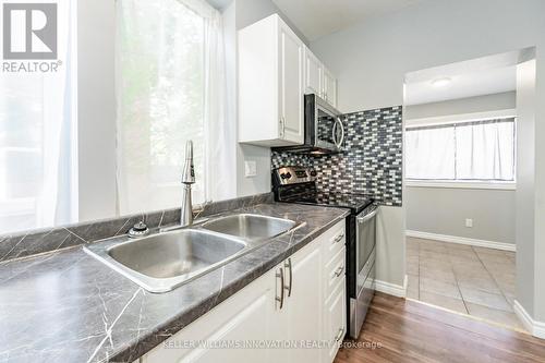 Lower - 177 Weber Street E, Kitchener, ON - Indoor Photo Showing Kitchen With Double Sink