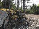 Lot 20-5 No. 7 Highway, Ecum Secum, NS 