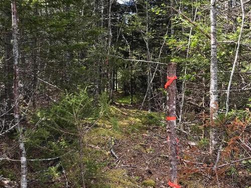 Lot 20-5 No. 7 Highway, Ecum Secum, NS 