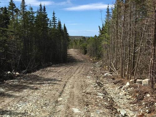 Lot 20-5 No. 7 Highway, Ecum Secum, NS 