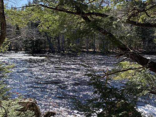 Medway River Road, Riversdale, NS 