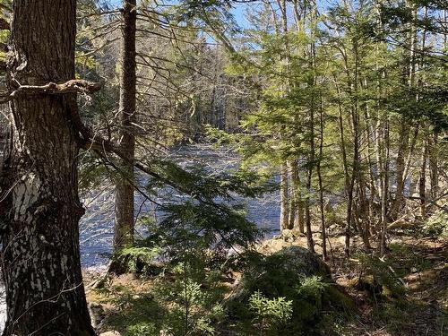 Medway River Road, Riversdale, NS 