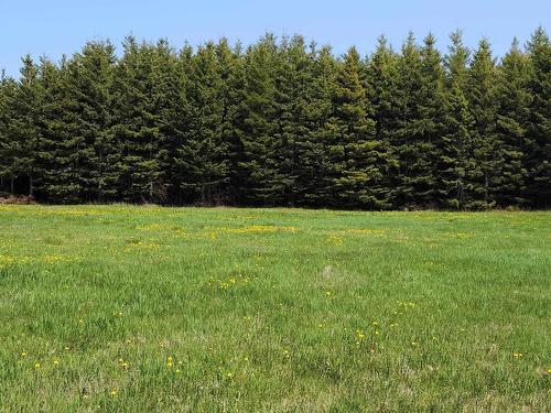 Lot 06-14 Baseline Road, Malpeque, PE 